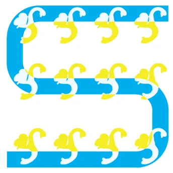 S