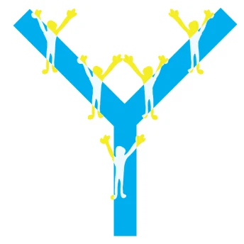 Y