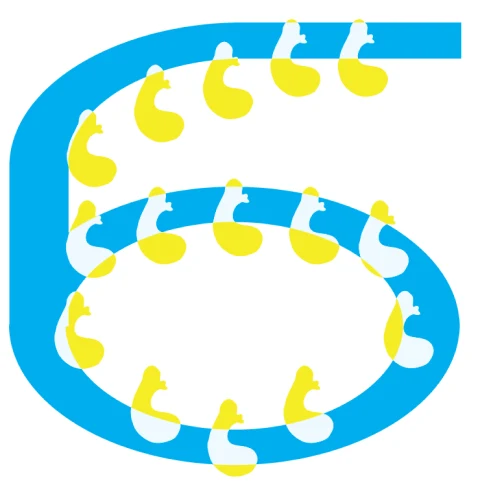 6